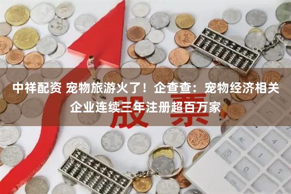 中祥配资 宠物旅游火了！企查查：宠物经济相关企业连续三年注册超百万家